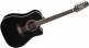 Japon EF381sc Black 12-cordes
