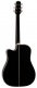 EF341DX Dreadnought CW Black