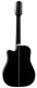 Ef381Dx Dreadnought 12 CW Black