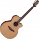 FSF40C Nex Santa Fe CW Natural Gloss