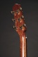 OM CW LTD 2025 Glossy Antique Evergreen