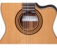Concert Cs-1 Cw E1 Crossover + 9738 25mm Housse