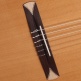 Concert Cs-1 Cw E1 Crossover + 9738 25mm Housse