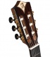 Concert Cs-1 Cw E1 Crossover + 9738 25mm Gigbag