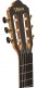 Vc264 4-4 Natural Glossy Finish