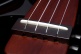 Frameless Palissandre