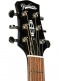 Vga-3Ps Trans Black