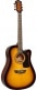 APPRENTICE PACK D5CE TOBACCO SUNBURST