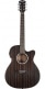 DEEP FOREST AUDITORIUM CUTAWAY EBONY MATTE