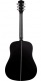 Deep Forest Dreadnought Ebony Matte