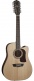 Heritage D10sce 12 Cordes Natural