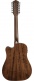 Heritage D10sce 12 Cordes Natural