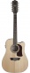 Heritage D10sce 12 Cordes Natural