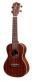 Coconut C10 - Concert