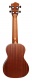 Coconut C10 - Concert
