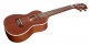 Coconut C10 - Concert