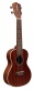 Coconut C10 - Concert