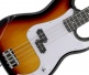 PB100 Sunburst