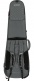 Bass Gray Softcase - ICON