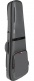 Bass Gray Softcase - ICON