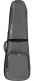 Bass Gray Softcase - ICON