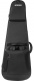 Dreadnought Softcase - ICON