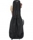 Electric + Folk Double Gigbag - ProGo