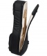 G-PG-ACOUELECT PROGO ELECTRIC GUITAR AND ACOUSTICS