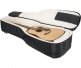 G-PG-ACOUELECT PROGO ELECTRIC GUITAR AND ACOUSTICS