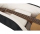 Electric + Folk Double Gigbag - ProGo