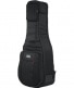 G-PG-ACOUELECT PROGO ELECTRIC GUITAR AND ACOUSTICS