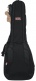 Double Electric + Folk Gigbag - 4G
