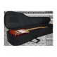 Double Electric + Folk Gigbag - 4G