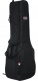 Double Electric + Folk Gigbag - 4G