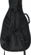 Folk Gigbag - 4G