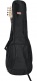 Double Electric Bass Gigbag - 4G