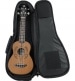 GIGBAG GUITAR NYLON 4G SOPRANO