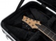Extra Long XL Electric Deluxe ABS Case - GC