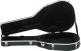 GS Mini Deluxe Case - GC