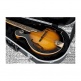 Mandolin ABS Deluxe Case - GC