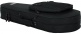 Mandolin Softcase - GL