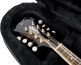 Mandolin Softcase - GL