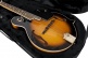Mandolin Softcase - GL