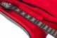 Electric Gigbag, Gray - Transit