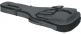 Electric Gigbag, Gray - Transit