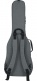 Electric Gigbag, Gray - Transit