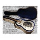Journeyman Resonator Deluxe Wooden Case, Beige - GW