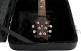 Deluxe PRS/Large Body Wooden Case - GWE
