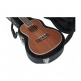 Concert Ukulele Wood Case - GWE