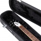 Flying V Case Deluxe - GW